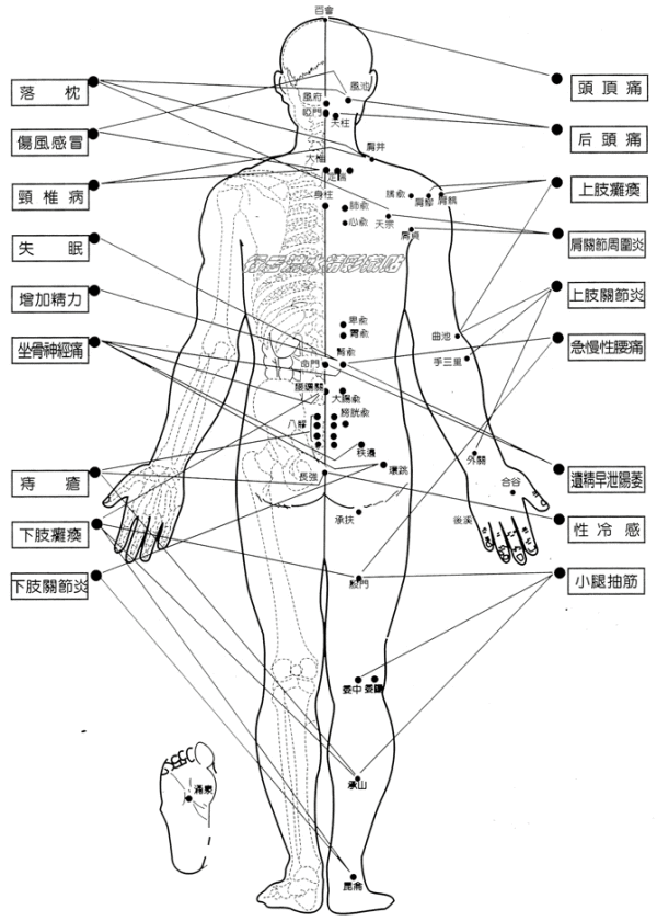 人体108要害穴位名称及定位